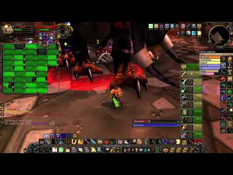 Paladin off tank picks up Nefarian