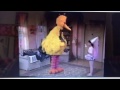 Big Bird And Gabi Dance Boogie Woogie Piggies