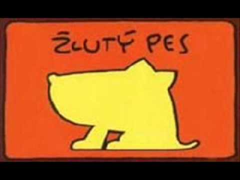 Žlutý pes - pro maličkou paradu.wmv