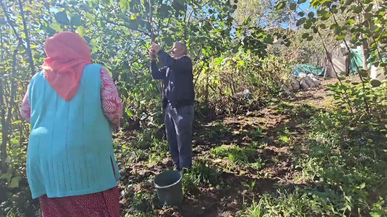 ‼️BEN KİMSENİN BAHÇESİNE GÜVENEREK HAYVAN ALMADIM‼️