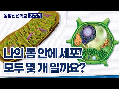 기초(숨) 수행과정