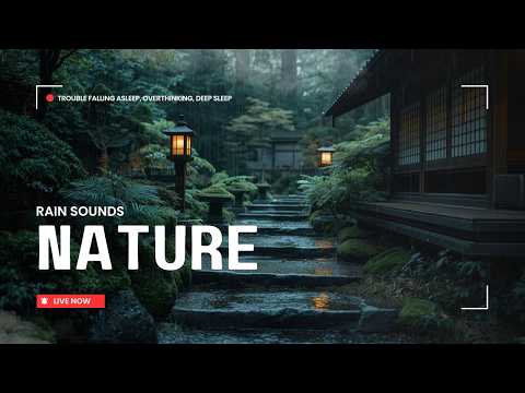 Rain Sounds to Stop Overthinking & Anxiety: Stay Asleep All Night Long