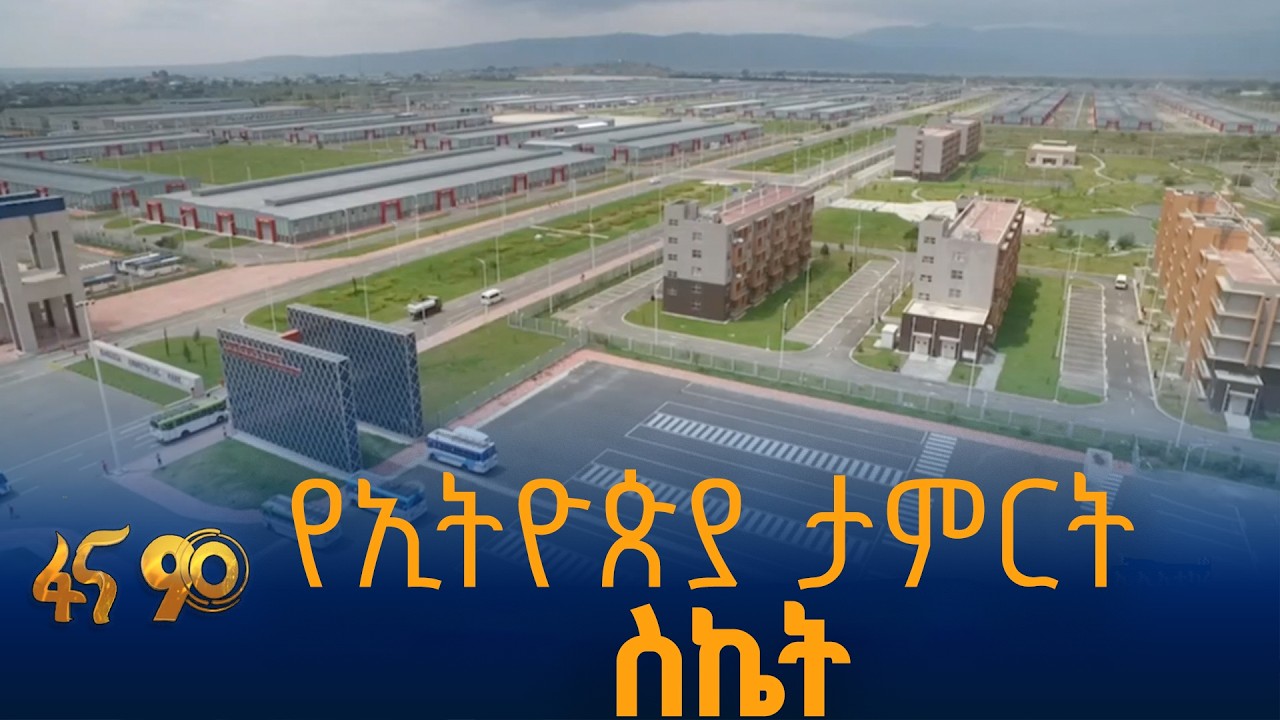 በተኪ ምርቶች የተመዘገበ ውጤት