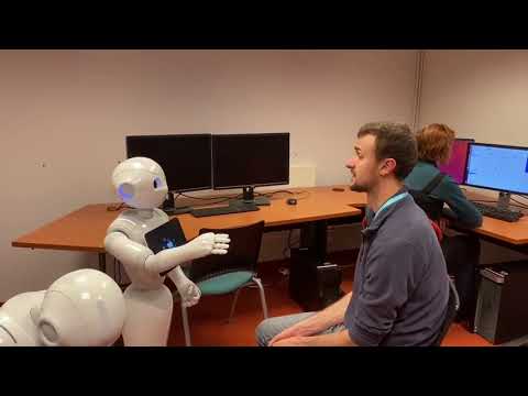 WASAA Academy 2020 Final Project - RoboCup@Home Standard Platform League: Greeter Pepper