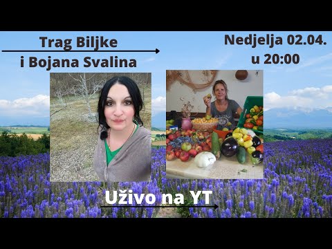 Trag Biljke & Bojana Svalina - Važnost zajednica