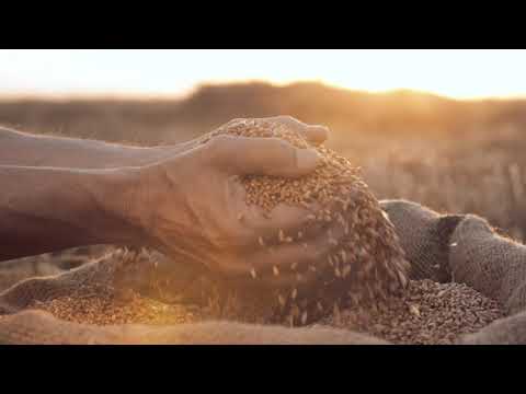 фото премиум комбикорм консул рб 0