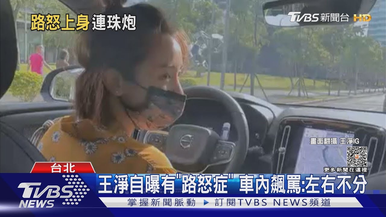 蔡黃汝、王淨爆患「路怒症」! 透露行車紀錄器很精彩