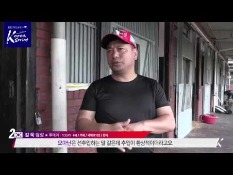 2018 코리아스프린트 한국 주요 출전마 인터뷰