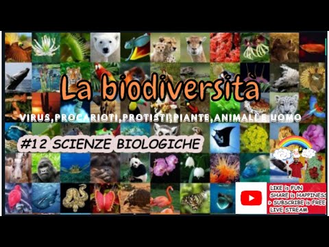 La biodiversità Lezione 12 #concorso #classediconcorsoA050  #scienzebiologiche #biodiversità #animal