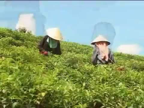Thể hiện bởi Quỳnh Anh