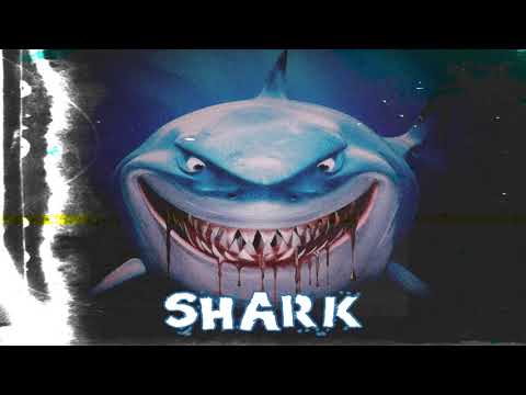 MESTER ALAE - Shark ( Disstrack )