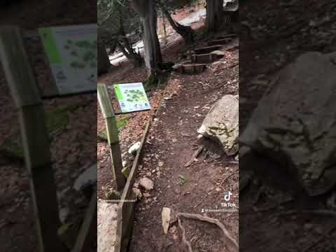 Tejeda de Tosande 2024 #weekendinspain