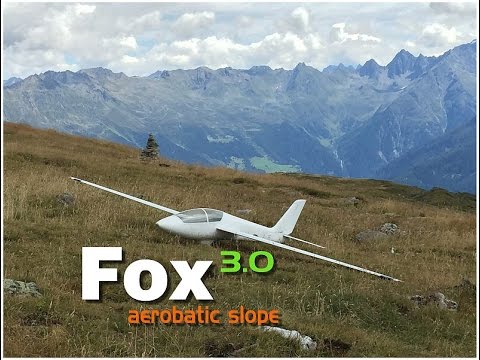 MDM-1 Fox - Aerobatic Slope Glider