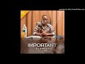 VEE MAMPEEZY - IMPORTANT (prod. by Dr Tawanda)