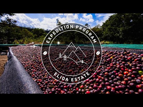 Pablo & Rusty's Expedition Program: Elida Estate Loma Centro | Geisha Natural