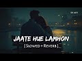 Jaate Hue Lamhon (Slowed + Reverb) | Roop Kumar Rathod, Vishal Mishra | Border 2 | SR Lofi