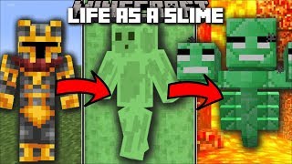 Minecraft LIFE AS A SLIME MOD / FIGHT AND SURVIVE THE PARKOUR RACE TO WIN AS A SLIME!! Minecraft