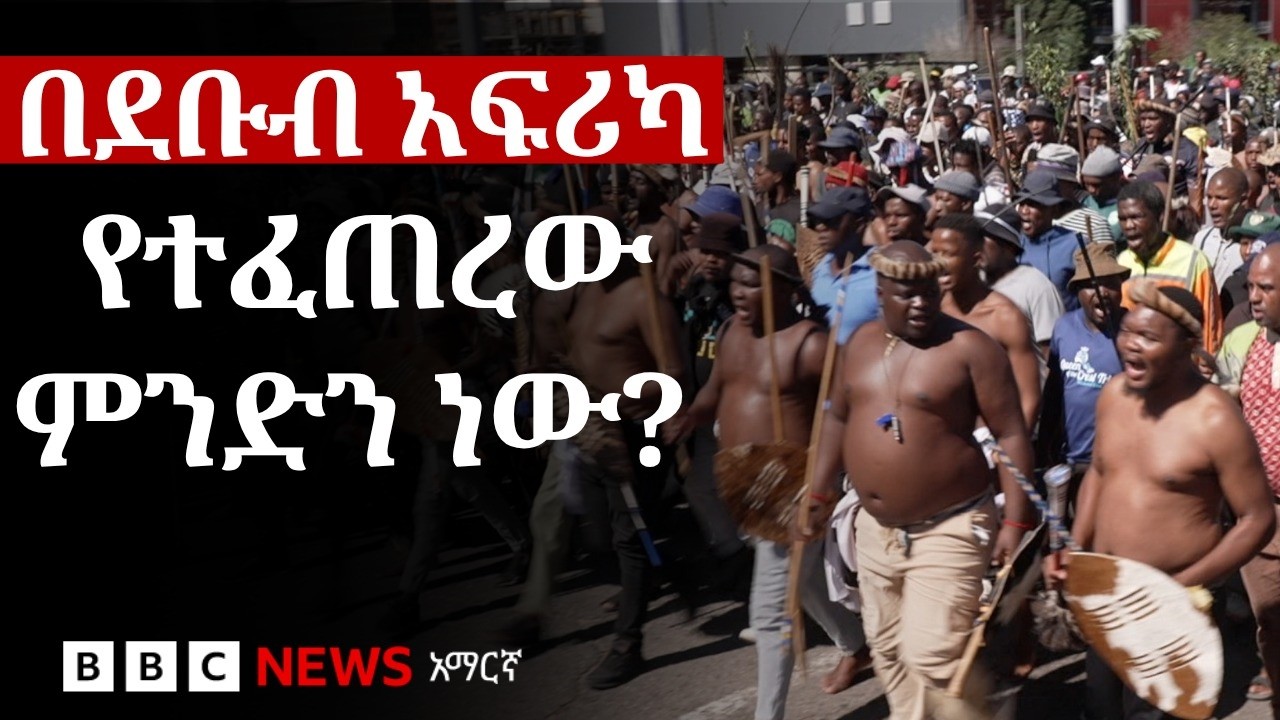 የውጭ አገራት ዜጎች ዒላማ የተደረጉበት የደቡብ አፍሪካ ተቃውሞ | BBC News አማርኛ