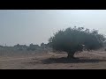 Rajasthan Jaisalmer Ka Naja Rajasthan Gaon Ka Najara