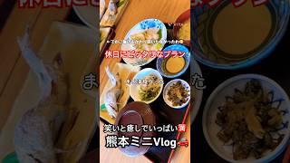 【熊本】楽しみたい＆癒されたい✨そんな日に車で巡る観光地のおすすめ！#熊本旅行 #熊本観光 #熊本城 #グルメ #阿蘇山