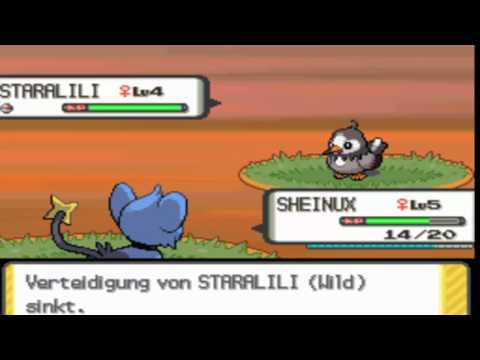 [Spezial] Lets Play Pokemon Diamant - Training 1/5
