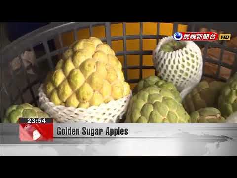 Golden Sugar Apples