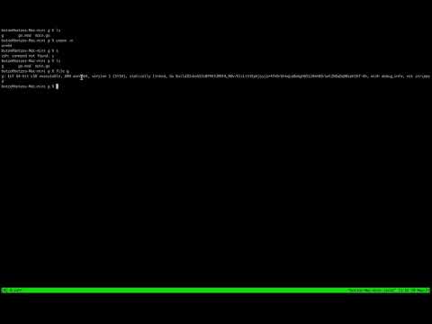 Cross-Building and Running ARM64 and x86 unikernels on different architectures.