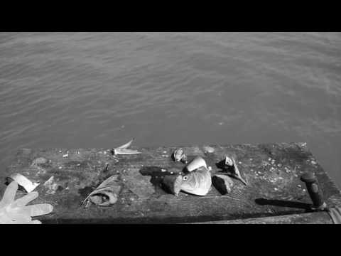 MONOCHROME: A 24 second short film