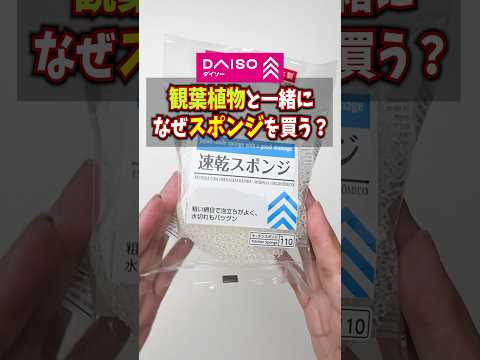 クリエイティブなアイデア: かぎ針編みの植木鉢 ライフスタイル