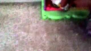 The sunshine through rain episode 2