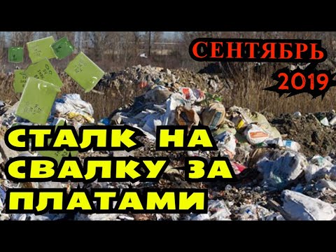 Платы на Свалке тоже деньги