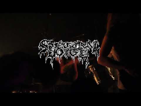 Spectral Voice, Morbid Creation (AKC Medika/Attack 27.9.2018.)