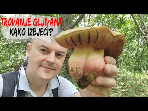 Trovanje Gljivama - Kako Izbjeći ?  Moje Mišljenje