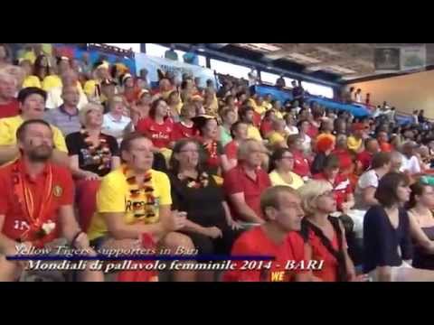 27-09-2014: Yellow Tigers' supporters in Bari