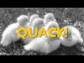 https://www.youtube.com/watch?v=5stoiYCoKLI