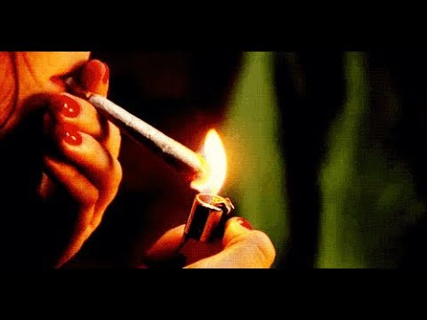 Fumaça Louca video
