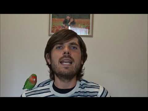 Video corso di scrittura creativa a cura di Arsenio Siani-lezione 6: i personaggi