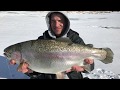 Video Thumbnail for Diefenbaker Rainbow Trout