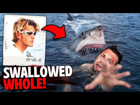 The HORRIFYING Last Minutes of Geoffrey Brazier SWALLOWED WHOLE By Great White Shark!