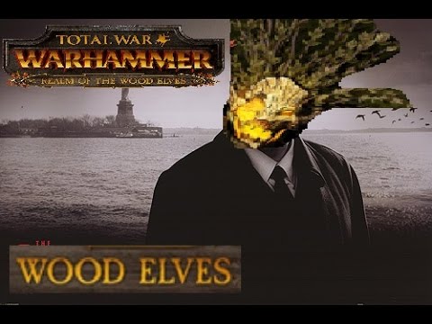 Total War Warhammer Online Battle #162: Wood Elves vs Empire - BIG PAPA DURTHU