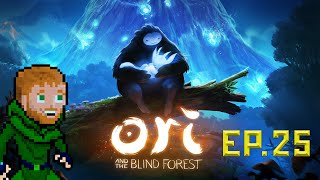 Gravity Puzzles?! In THIS Economy? - Ori and the Blind Forest : Part 25