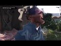YEe YeE ASs HAIrCut