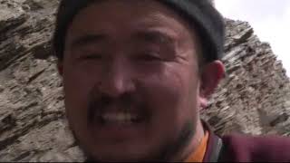 My Himalayan Vulture