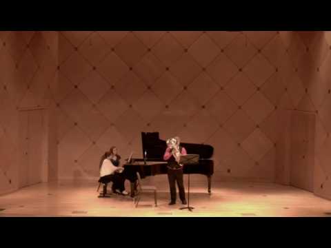 Martin Ellerby - Euphonium Concerto: Movement 2