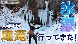 株式会社日光自然博物館