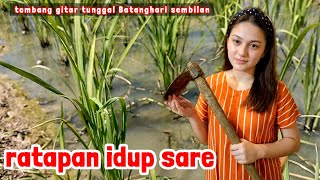 Download lagu Gitar tunggal RATAPAN IDUP SARE lagu daerah Sumsel Batanghari 9 mp3 Download lagu Gitar tunggal RATAPAN IDUP SARE lagu daerah Sumsel Batanghari 9 mp3