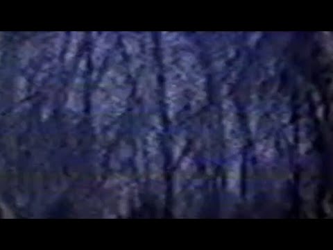 Видео 3