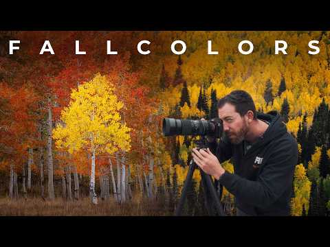 Chasing Autumn: The Art of Fall Color Landscape Photography
