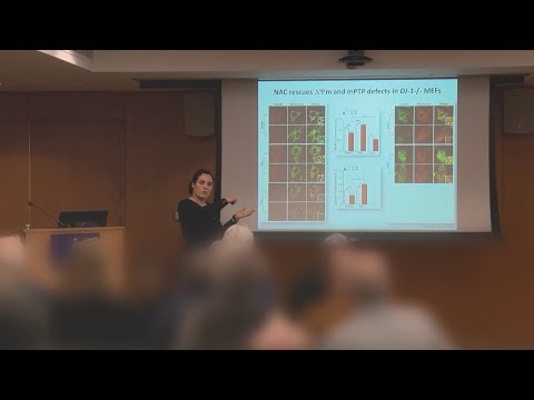 Using Genetics to Discover Treatments for PD