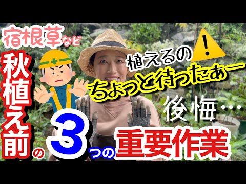 マランタ・デプレッサ、マランテ、祈りの植物